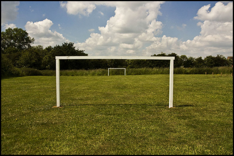 software development goals