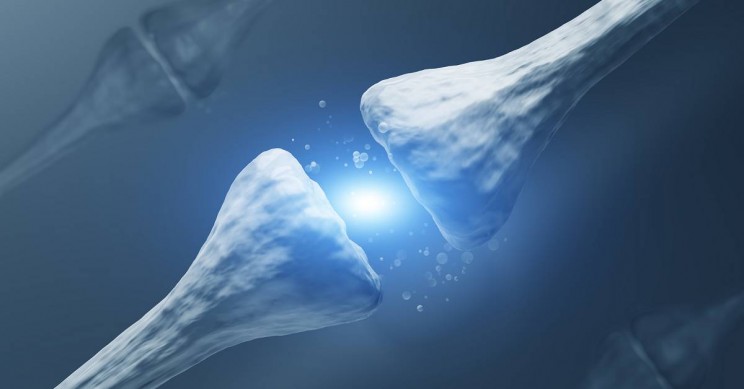 Scientists Discover New Link Between >> Scientists Discover New Theory On Alzheimer S Amyloid Connection Scientists Discover New Link Between >> Scientists Discover New Theory On Alzheimer S Amyloid Connection