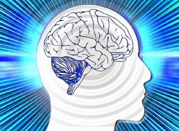 Researchers Develop A Device That Translates Brain Signals into Speech