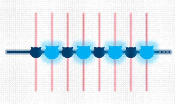 'Schrödinger's Cat' in a Lab: Created with 20 Entangled Qubits 'Schrödinger's Cat' in a Lab: Created with 20 Entangled Qubits