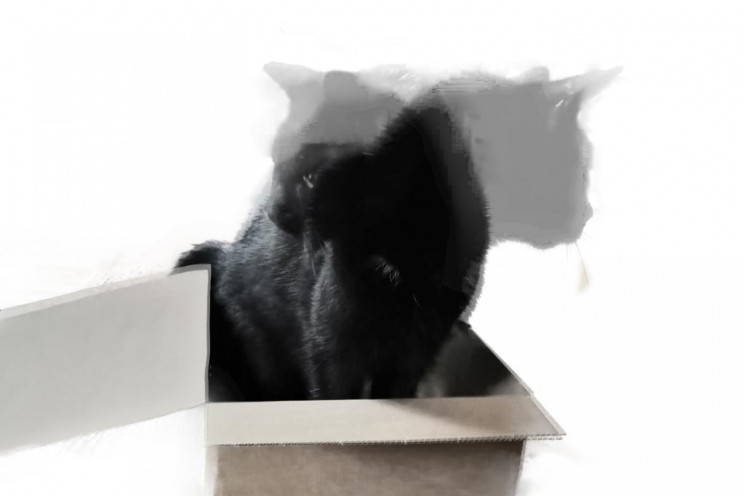 'Schrödinger's Cat' in a Lab: Created with 20 Entangled Qubits 'Schrödinger's Cat' in a Lab: Created with 20 Entangled Qubits