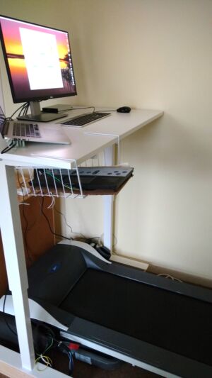 engineers work at home desks treadmill