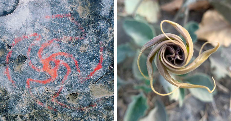 Native Californians Got High on Plants and Painted Cave Art, Study Says