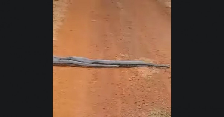 snake-road-1 Snake Road 1