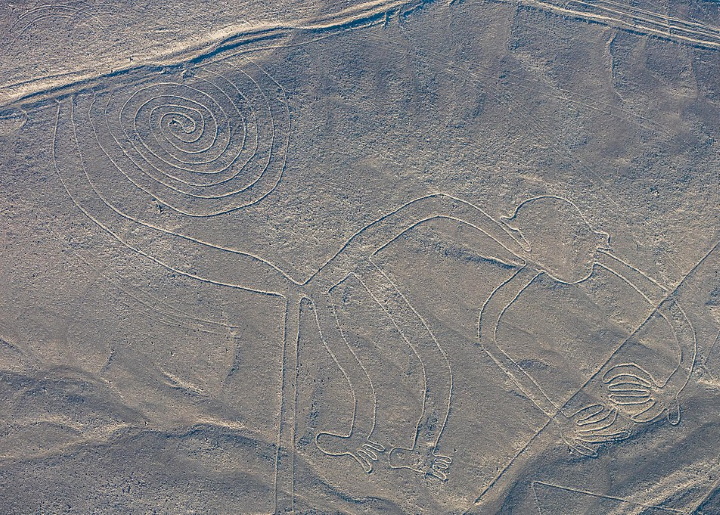 Nazca monkey Nazca monkey