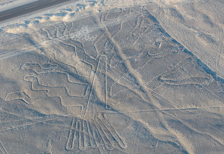 Nazca tree Nazca tree