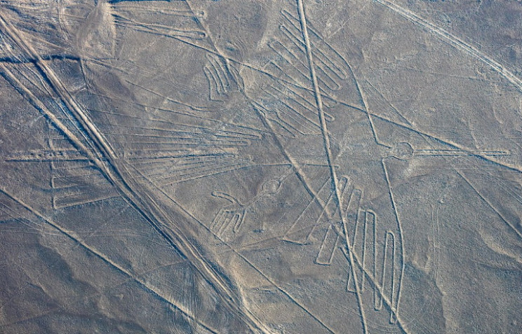 Nazca condor Nazca condor