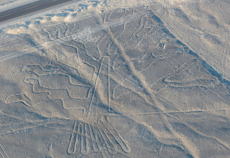 Nazca tree Nazca tree
