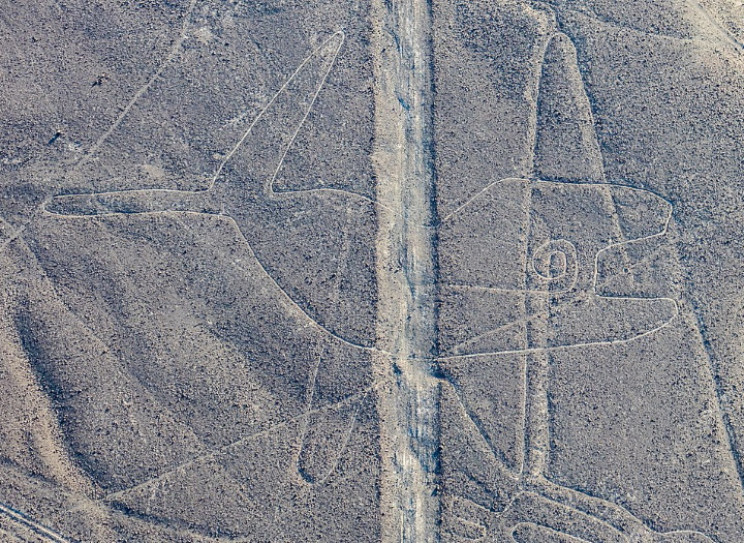 Nazca whale Nazca whale