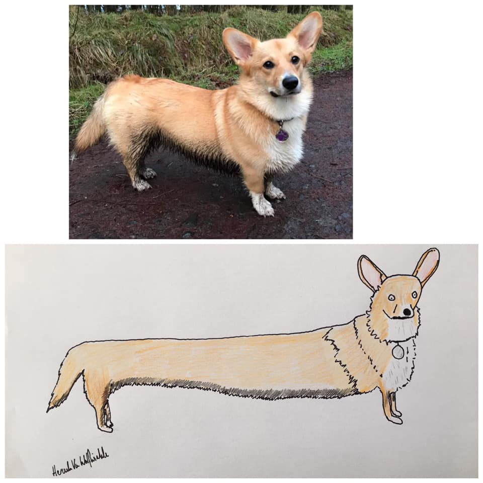 Man Raises Thousands for Charity by Drawing 'Crappy' Pet Portraits Man Raises Thousands for Charity by Drawing 'Crappy' Pet Portraits