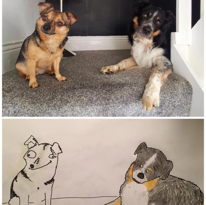 Man Raises Thousands for Charity by Drawing 'Crappy' Pet Portraits Man Raises Thousands for Charity by Drawing 'Crappy' Pet Portraits