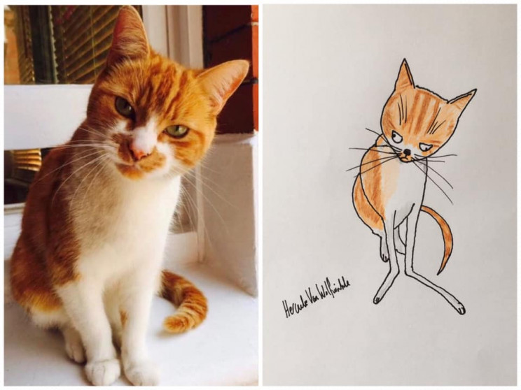 Man Raises Thousands for Charity by Drawing 'Crappy' Pet Portraits Man Raises Thousands for Charity by Drawing 'Crappy' Pet Portraits