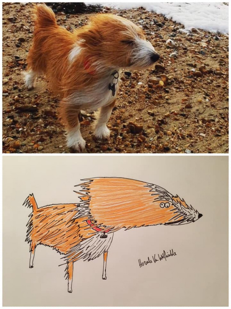 Man Raises Thousands for Charity by Drawing 'Crappy' Pet Portraits Man Raises Thousands for Charity by Drawing 'Crappy' Pet Portraits