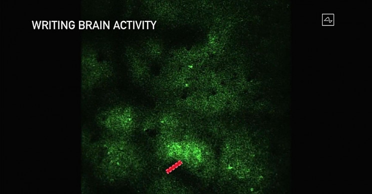 neuralink-writing-brain-activity Neuralink Writing Brain Activity