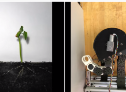 Engineers Develop Flexible Robot That Can Twist and Turn