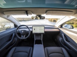 Tesla Model 3 and Model Y Will Go Fully Vegan by Next Year