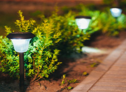 Brighten Your Garden with Eco-Friendly Solar Lights