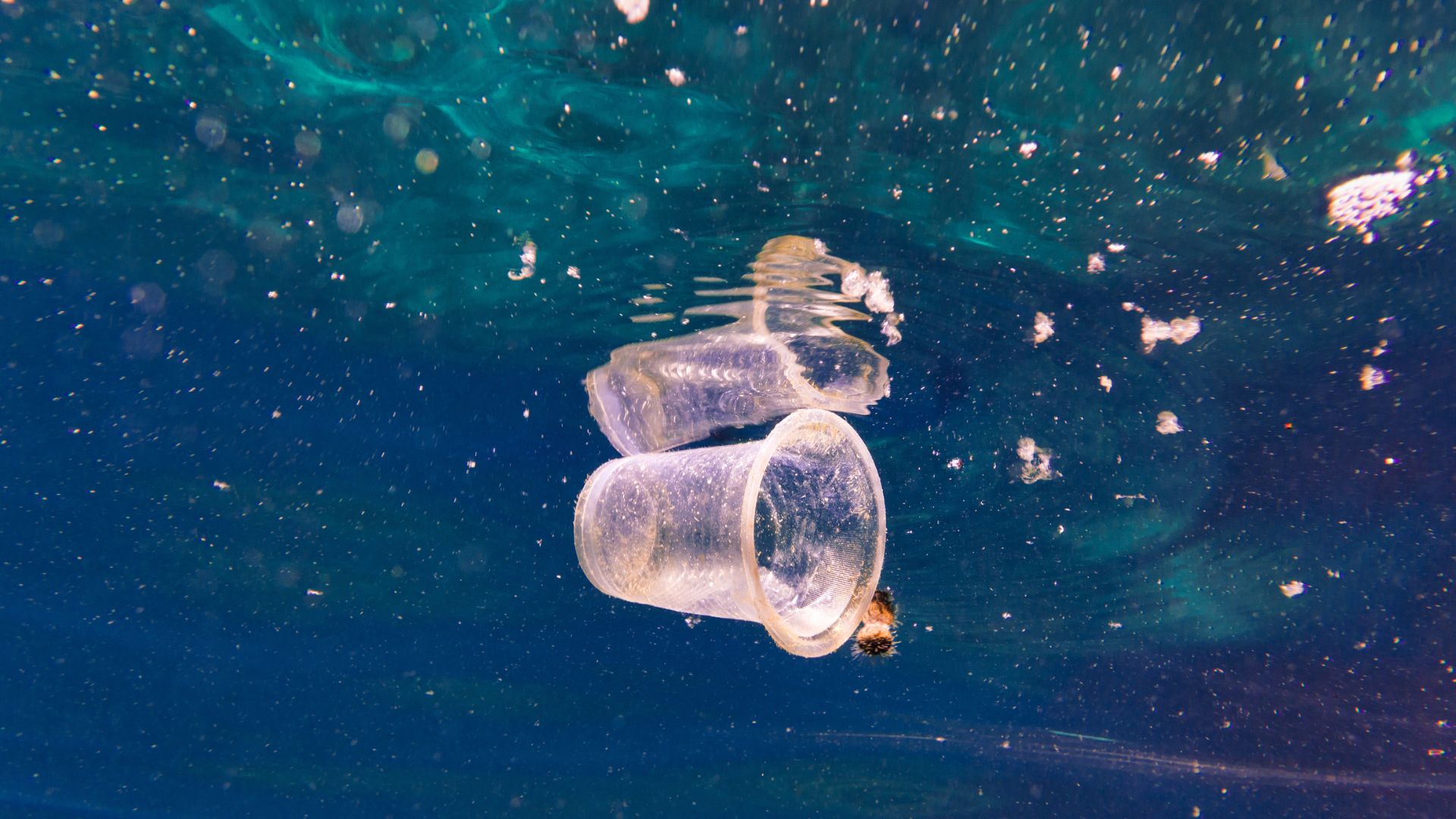 microplastics environment