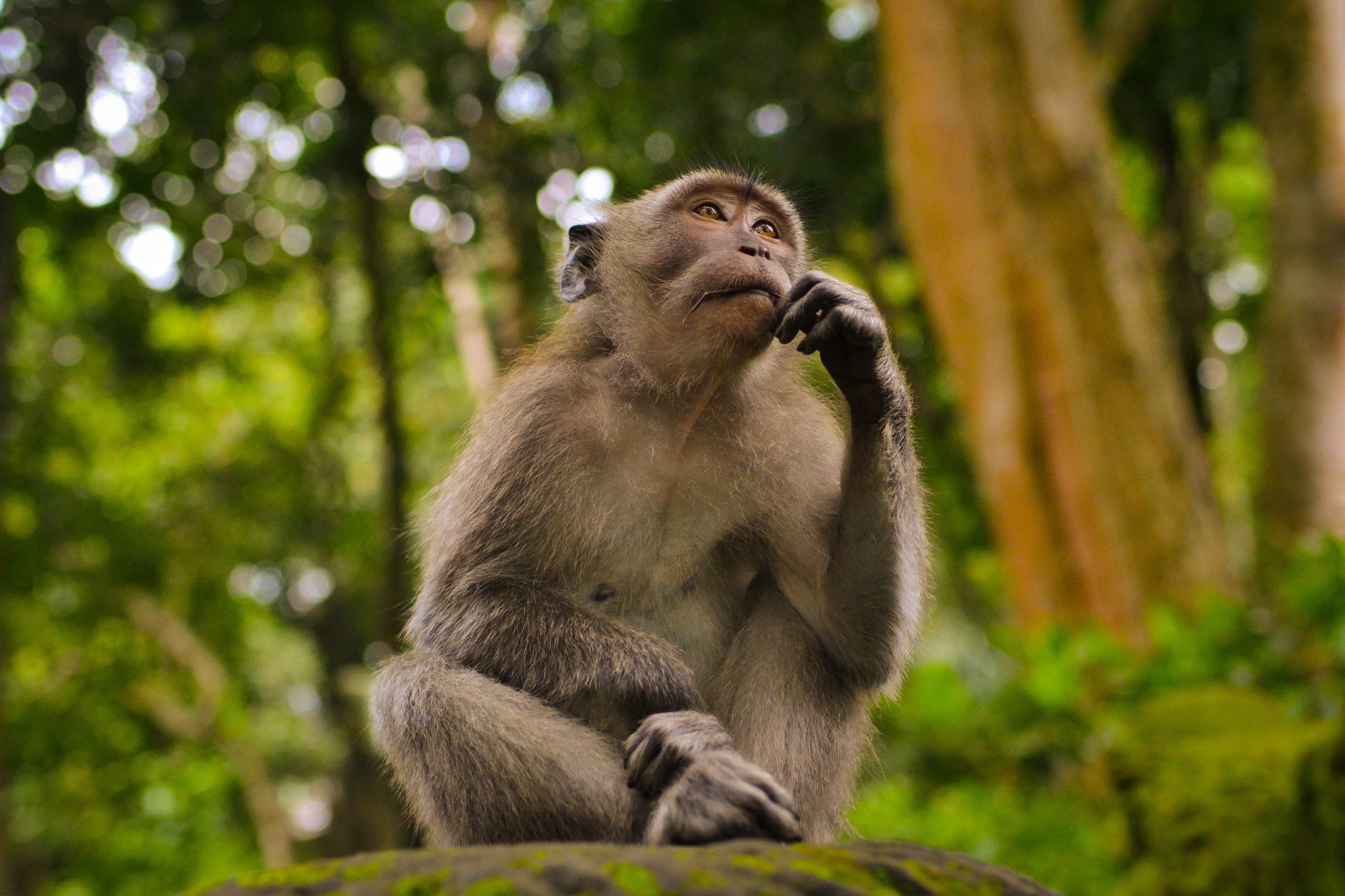 Consciousness 101: The Mind's Greatest Mystery Consciousness 101: The Mind's Greatest Mystery