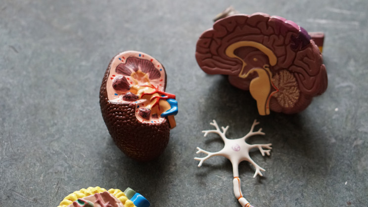 Consciousness 101: The Mind's Greatest Mystery Consciousness 101: The Mind's Greatest Mystery