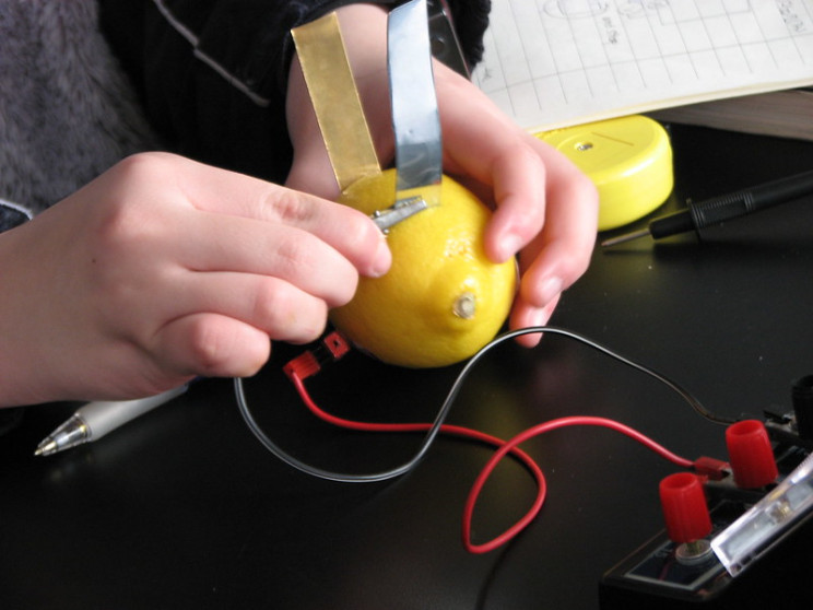 fruit power lemons