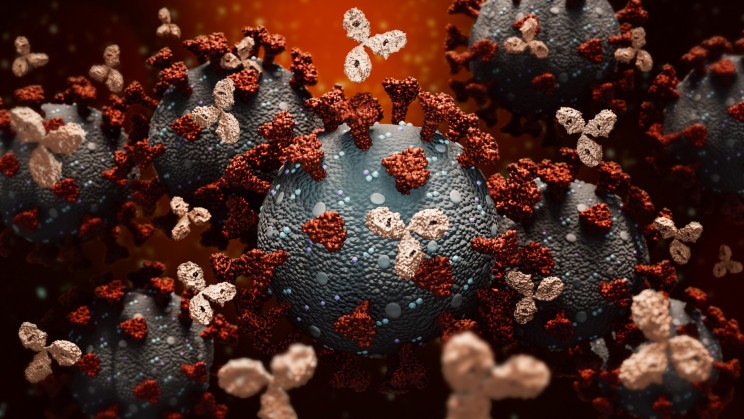Long COVID: 30 percent of people contracting the virus get it