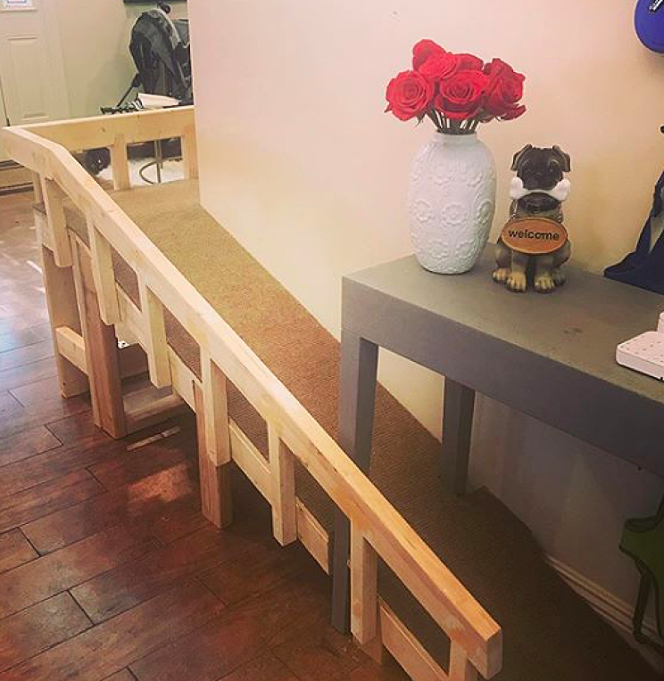 Dog Owner Builds Stairlift to Help Her Elderly Pugs Climb the Stairs Easier Dog Owner Builds Stairlift to Help Her Elderly Pugs Climb the Stairs Easier
