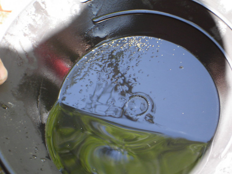 gold mining panning