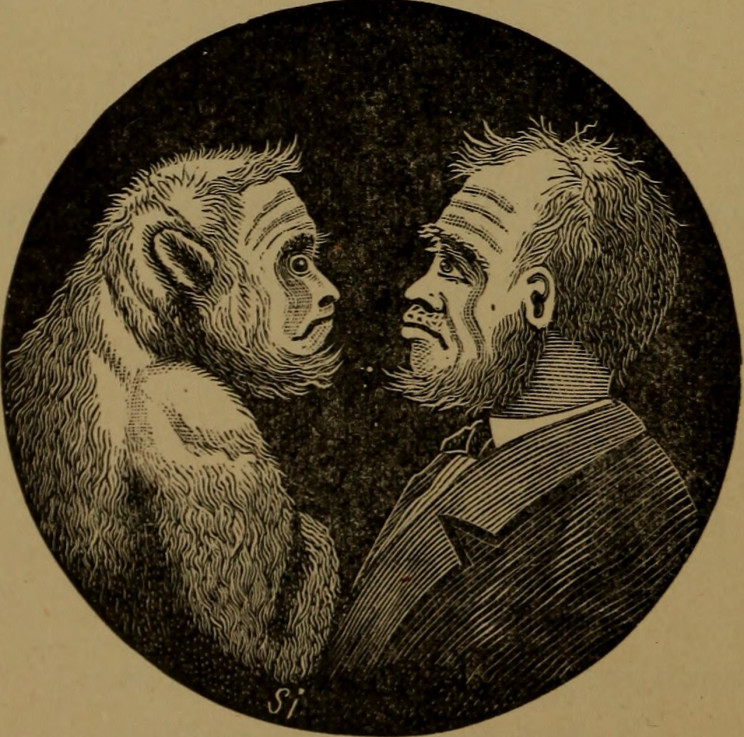 Ilya Ivanov: The Russian Scientist Who Tried To Create a 'Humanzee' Ilya Ivanov: The Russian Scientist Who Tried To Create a 'Humanzee'