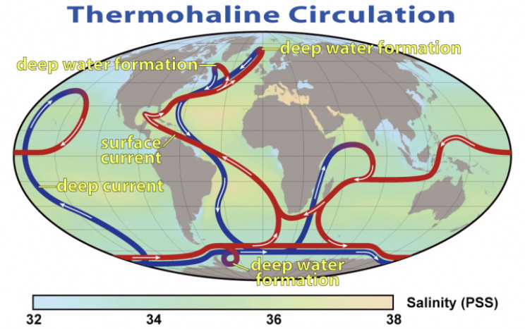 Thermohaline Circulation Thermohaline Circulation