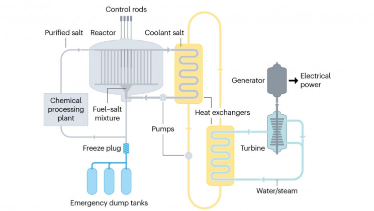 Nuclear Salt Reactor