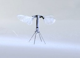 RoboBee Flies Untethered for First Time, Lightest Vehicle Ever to Do So