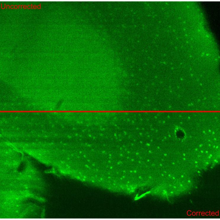 Super-Thin Smart Glass Bends without Breaking to Improve Microscopes Super-Thin Smart Glass Bends without Breaking to Improve Microscopes
