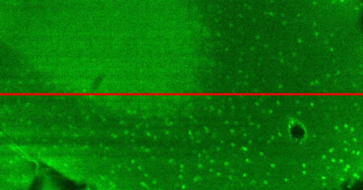 Super-Thin Smart Glass Bends without Breaking to Improve Microscopes