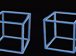 This Cube Is Not Moving: Optical Illusions That Bend Your Brain