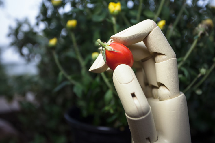 Machine learning is making fruits and vegetables more delicious