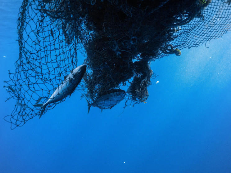 Ocean Voyages Sets Record With Largest Haul of Plastic Removed in History Ocean Voyages Sets Record With Largest Haul of Plastic Removed in History