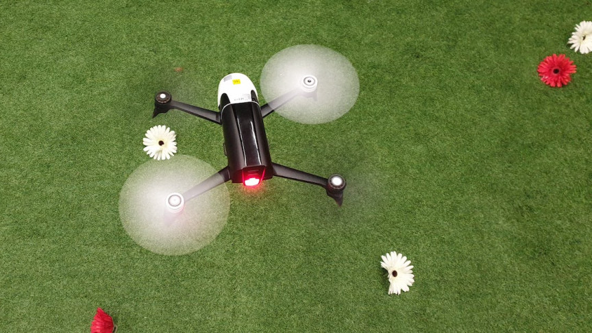 Bio-Inspired Drones Read Textures to Improve AI Vision | IE