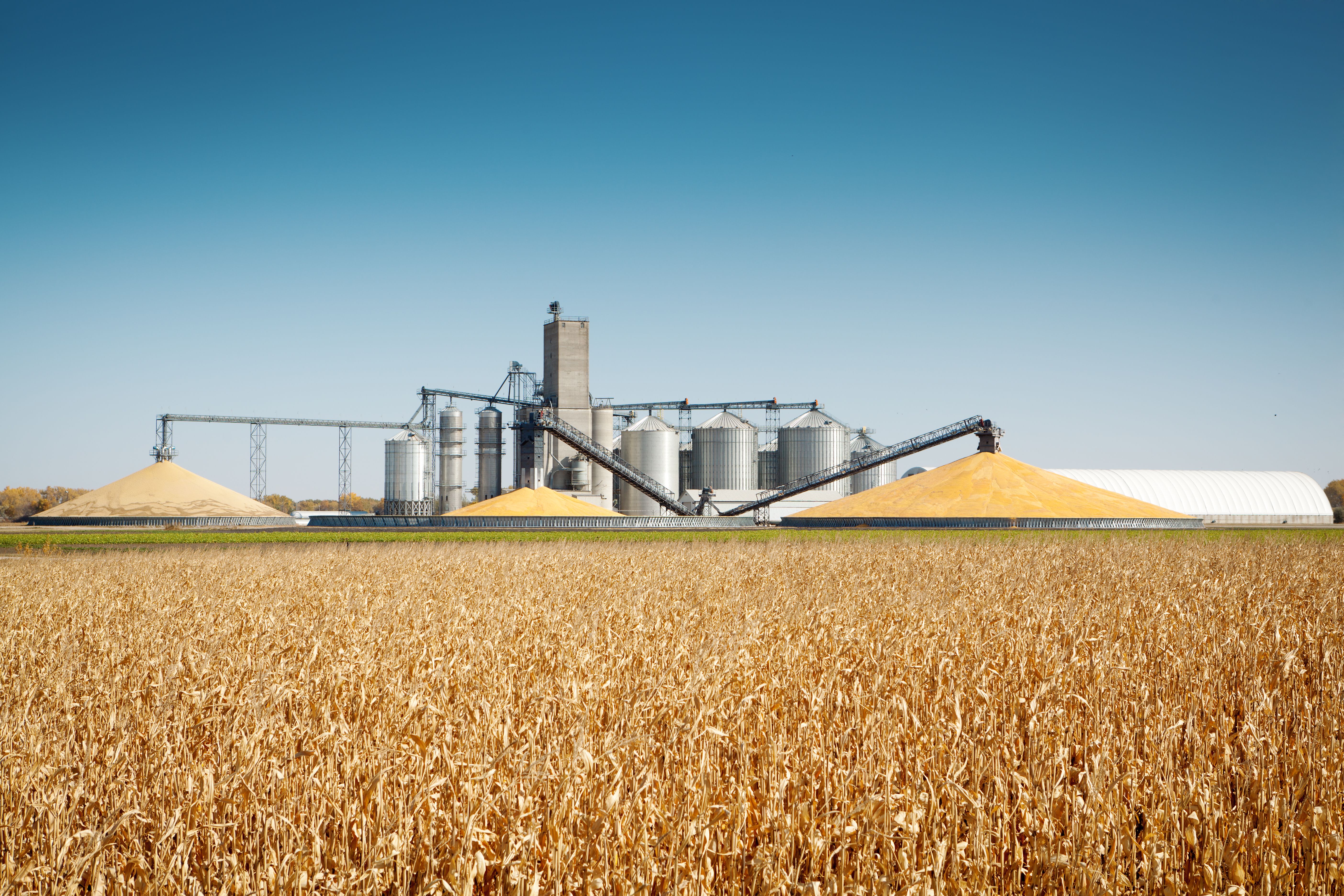 Biofuels may not be as green as we've been told Biofuels may not be as green as we've been told