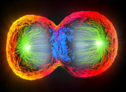 Researchers Find Master Key to the Lock on Your Age Clock