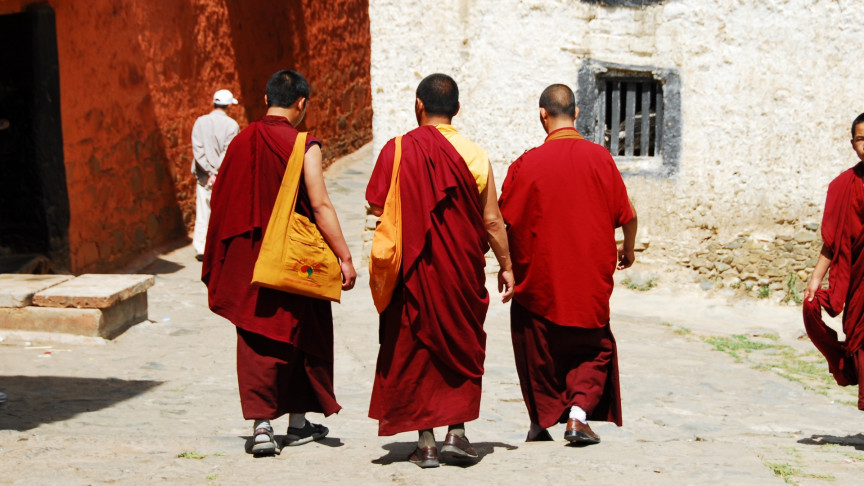 Tibetan monks demonstrate a surprising evolutionary advantage - Vimarsana News