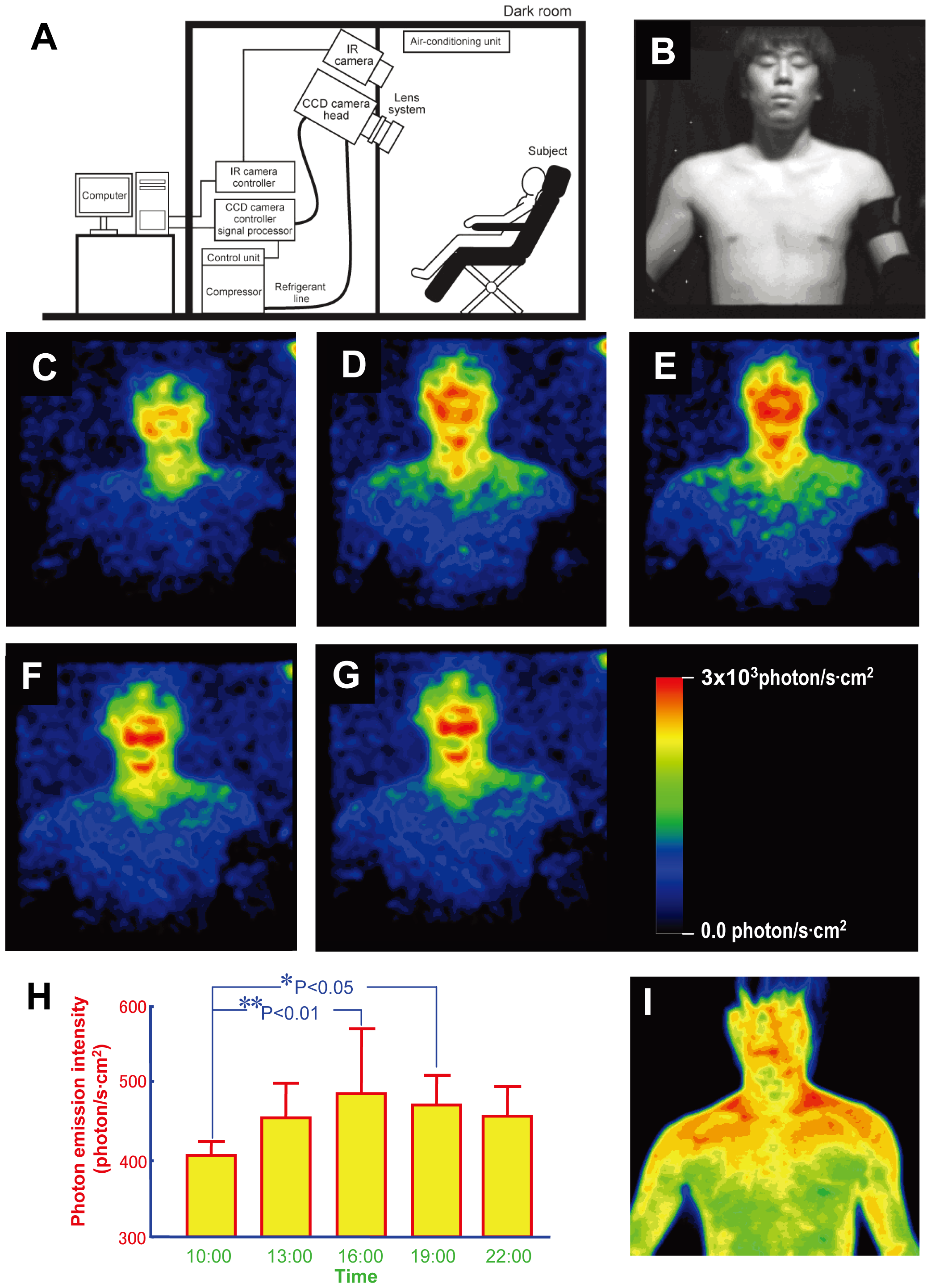bioluminescence in humans study bioluminescence in humans