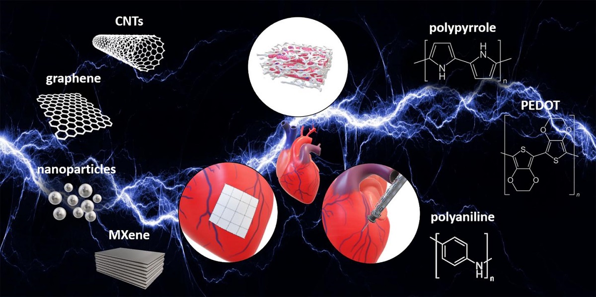 Electrically Conductive Biomaterials Electrically conductive biomaterials to repair heart scarring