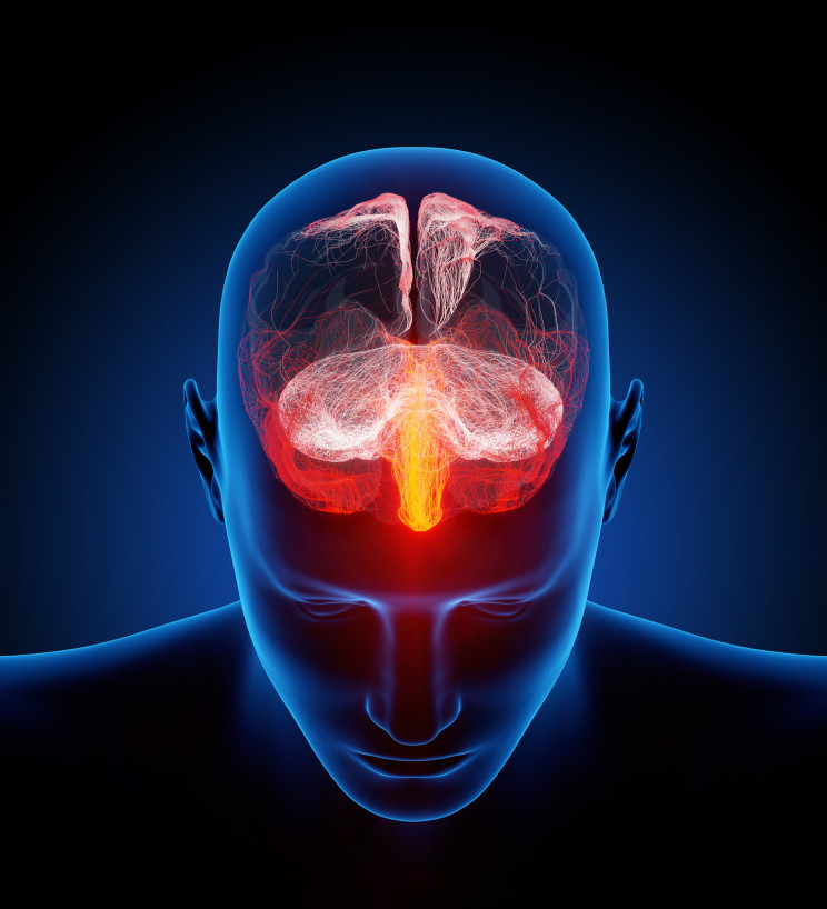 What are cognitive skills and why are they important?