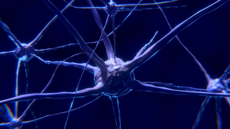 Neuron illustration Neuron illustration