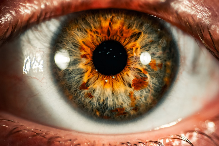 Scientists create an optical illusion that feels like an expanding black hole Scientists create an optical illusion that feels like an expanding black hole
