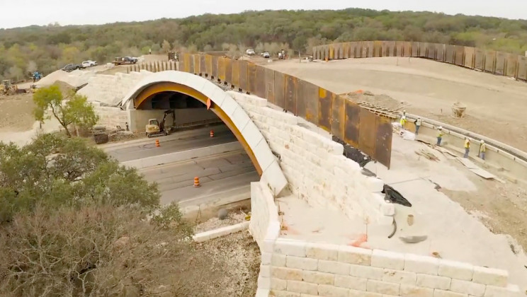America's $23 Million Largest Wildlife Crossing Opens in Texas America's $23 Million Largest Wildlife Crossing Opens in Texas