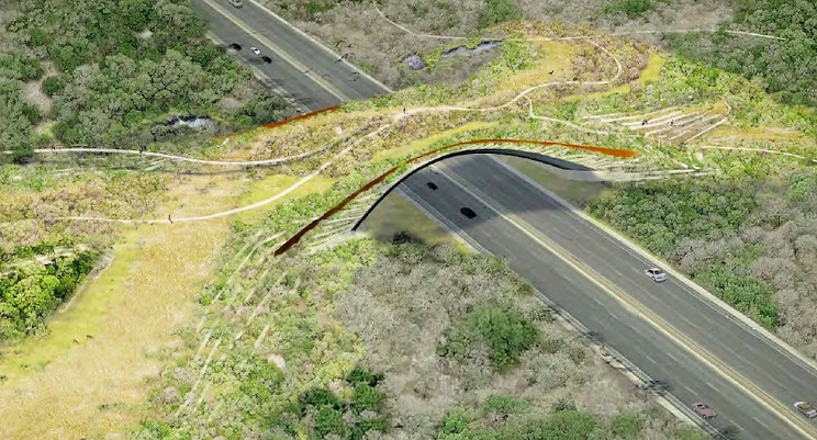 America's $23 Million Largest Wildlife Crossing Opens in Texas America's $23 Million Largest Wildlife Crossing Opens in Texas