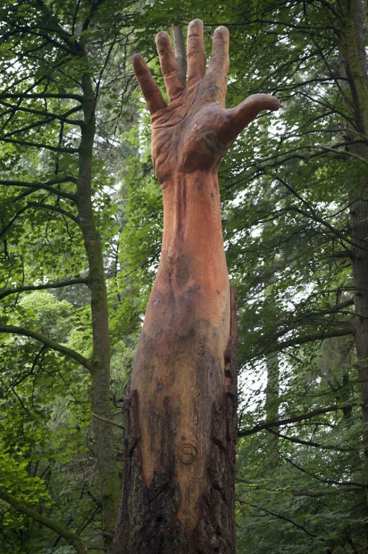 Sculptor Turns Storm-Damaged Tree into 50-Foot Hand Sculptor Turns Storm-Damaged Tree into 50-Foot Hand