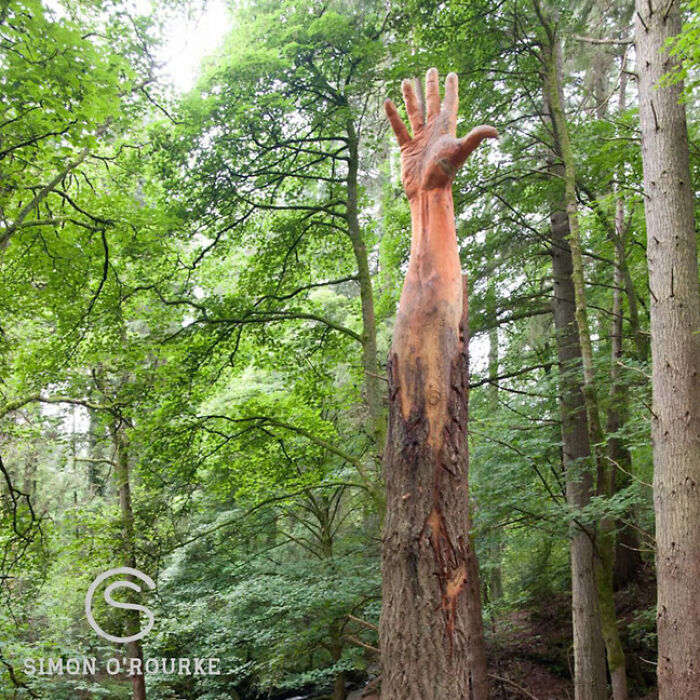Sculptor Turns Storm-Damaged Tree into 50-Foot Hand Sculptor Turns Storm-Damaged Tree into 50-Foot Hand